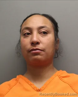 Mugshot of DESHAWNA KING booked in Hockley County, Texas on April 15, 2026