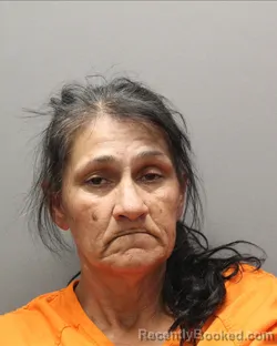 Mugshot of LORI LEFAYE LITTLE booked in Hockley County, Texas on May 16, 2026