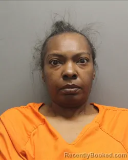 Mugshot of ASHLEY MICHELLE MITCHELL