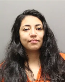 Mugshot of ALYSSA MARIE MORALES booked in Hockley County, Texas on May 13, 2026