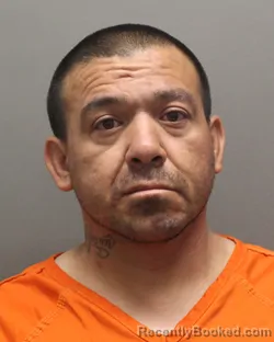 Mugshot of JOHN SEBASTIAN MARROQUIN