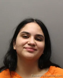 Mugshot of MICHELLE PONCE booked in Hockley County, Texas on August 3, 2026