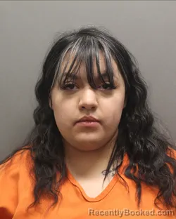 Mugshot of ANA FERNANDA RAMIREZ-LOPEZ