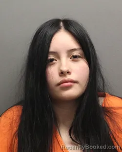 Mugshot of FAITH MARLEN RAMOS booked in Hockley County, Texas on March 28, 2026