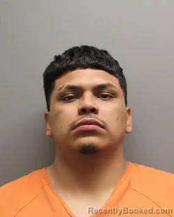 Mugshot of MARIO ROMAN-RINCON booked in Hockley County, Texas on March 23, 2026