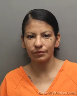 Mugshot of STEPHANIE RODRIGUEZ booked in Hockley County, Texas on April 20, 2026