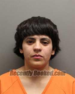 Booking photo from Hockley County, Texas