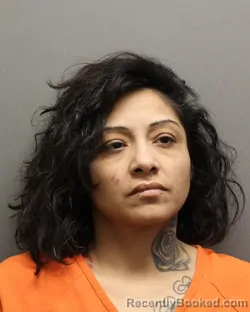 Booking photo from Hockley County, Texas