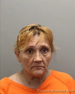 Mugshot of SYLVIA MARRY STENLI booked in Hockley County, Texas on June 3, 2026