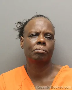 Mugshot of TAMISHA LASHAY SMITH booked in Hockley County, Texas on May 28, 2026