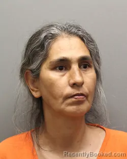 Mugshot of ANNA TORRES booked in Hockley County, Texas on May 29, 2026