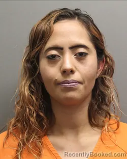 Mugshot of DESTINY YVONNE TORRES booked in Hockley County, Texas on March 28, 2026