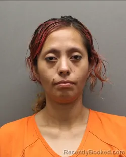 Mugshot of DESTINY YVONNE TORRES booked in Hockley County, Texas on July 18, 2026