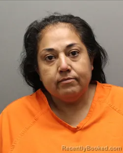 Mugshot of VERONICA TIENDA booked in Hockley County, Texas on July 25, 2026