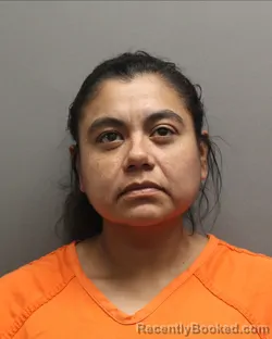 Mugshot of AMANDA ANN VIZCARRA booked in Hockley County, Texas on April 8, 2026