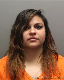 Mugshot of PERLA VALENCIA booked in Hockley County, Texas on April 18, 2026