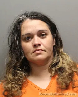 Mugshot of BRANDI ANN WESTBROOK booked in Hockley County, Texas on March 30, 2026