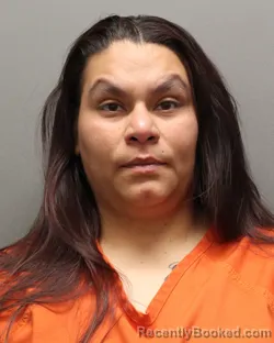 Mugshot of IDA WATSON booked in Hockley County, Texas on July 29, 2026