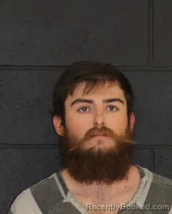 Mugshot of DYLAN RAY TOON