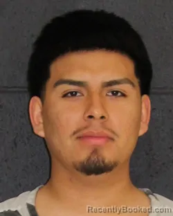 Mugshot of BRANDON MARTINEZ