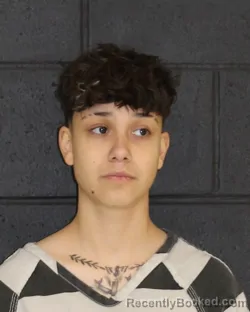 Mugshot of SELENA FLOR GONSALEZ