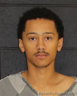 Mugshot of DIEGO LEE CHILDS-GOODALE