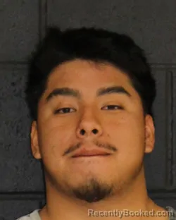 Mugshot of DANIEL SETH HAMMER