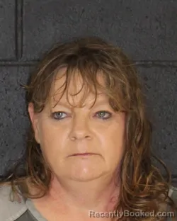 Mugshot of LESLI ANN ANDERS