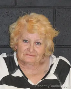 Mugshot of RACHELL LYNN OLIVEROS