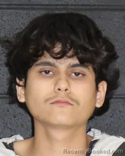 Mugshot of HECTOR VIRGILIO ESPINO