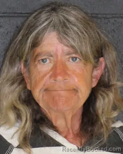 Mugshot of WENDY LOUISE DILLON