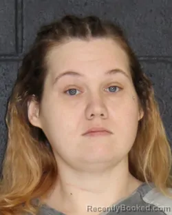 Mugshot of RENEE LEIGH DODSON booked in Hopkins County, Texas on March 12, 2026