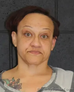 Mugshot of JERRIKA RENNE WILKINS booked in Hopkins County, Texas on March 12, 2026