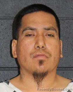 Mugshot of HUGO SEGURA