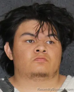 Mugshot of BENNADITTO ANTONIO FUNARI booked in Hopkins County, Texas on March 20, 2026