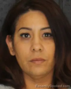 Mugshot of CHRIS ELDA PEREZ booked in Hopkins County, Texas on March 22, 2026