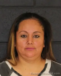 Mugshot of DAYSY RUTH MARTINEZ-CASTILLO booked in Hopkins County, Texas on March 22, 2026