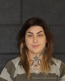 Mugshot of HALLIE KATHERINE WILLIAMS booked in Hopkins County, Texas on March 23, 2026