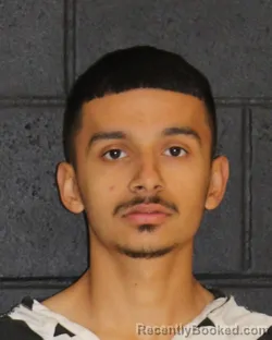 Mugshot of IVAN ESTRADA DIAZ DE LEON booked in Hopkins County, Texas on March 24, 2026