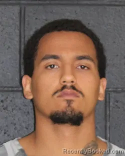 Mugshot of ELIJAH CADE TWYFORD booked in Hopkins County, Texas on March 26, 2026