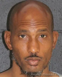 Mugshot of CURTIS EDWARD GALLOWAY booked in Hopkins County, Texas on March 26, 2026