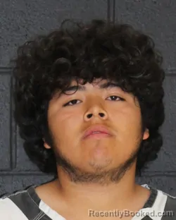 Mugshot of SERGIO BARRADAS booked in Hopkins County, Texas on March 29, 2026