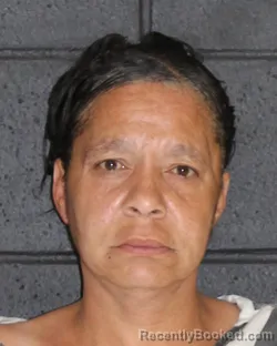 Mugshot of SHIRLEY MICHELLE SMITH booked in Hopkins County, Texas on March 29, 2026