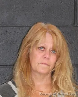 Mugshot of ROBYN SUE ERVIN booked in Hopkins County, Texas on March 30, 2026