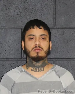 Mugshot of PEDRO MORALES booked in Hopkins County, Texas on March 31, 2026