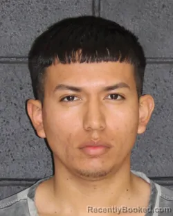 Mugshot of BRIAN ALEXIS SEGOVIA booked in Hopkins County, Texas on March 31, 2026