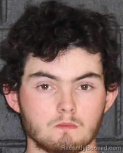 Mugshot of BRAYDIN SETH MILLER booked in Hopkins County, Texas on March 31, 2026