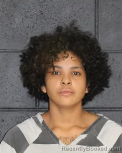 Mugshot of ALAYA LEALANI MIMS booked in Hopkins County, Texas on April 1, 2026