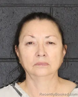 Mugshot of MARIA LUCIA BUSTILLOS booked in Hopkins County, Texas on April 2, 2026