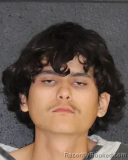 Mugshot of HECTOR VIRGILIO ESPINO booked in Hopkins County, Texas on April 4, 2026